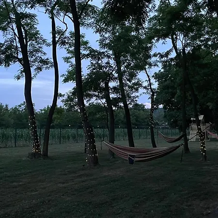 Csomopont Csaladi Vendeghaz アパート *