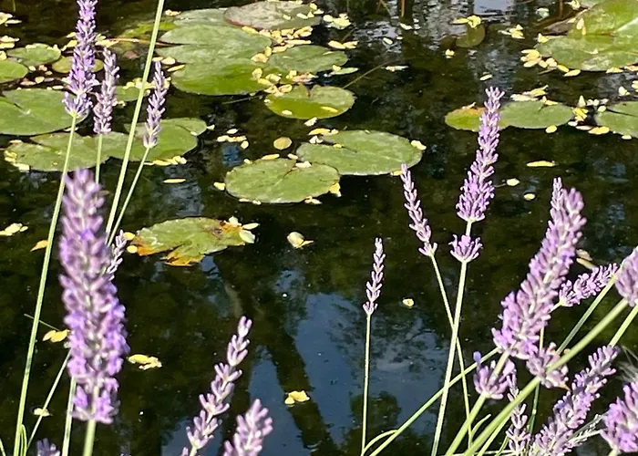 Csomopont Csaladi Vendeghaz